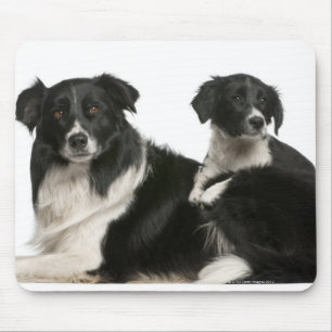 Tapis De Souris Mère frontière collie et chiot