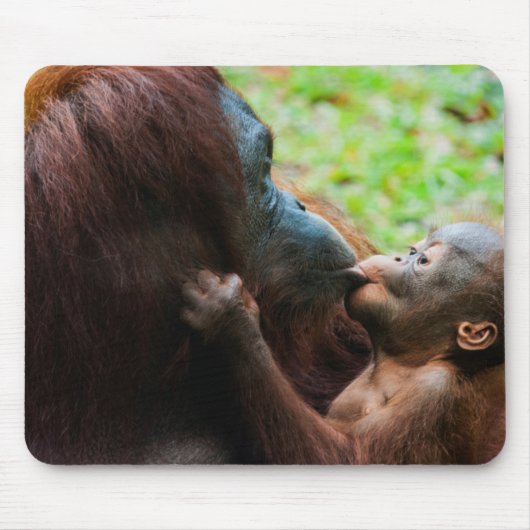 Tapis De Souris Mère orang-outan et bébé (Devant)