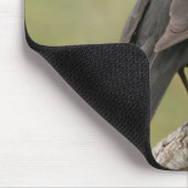 Tapis De Souris Merle (Coin)