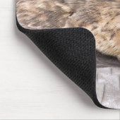 TAPIS DE SOURIS MERLIN FALCON OISEAU DE PREY (Coin)