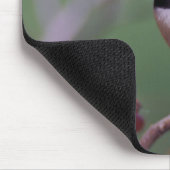 Tapis De Souris Mésange de Caroline (Coin)