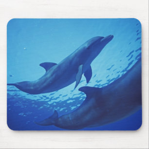 Tapis De Souris Mexique, Cozumel. Dauphin à gros nez, Tursiops