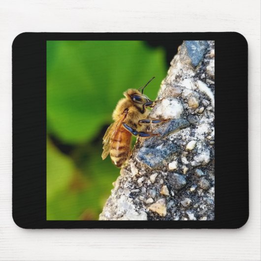 Tapis De Souris Mibee Mousepad (Devant)
