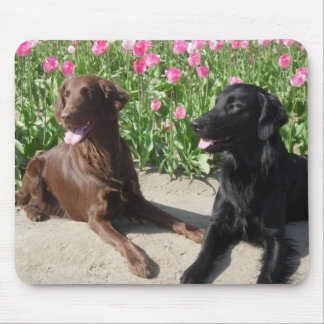 Tapis De Souris Mick et pigeon dans les tulipes 011
