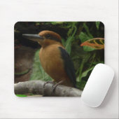 Tapis De Souris Micronésie Kingfisher (Avec souris)