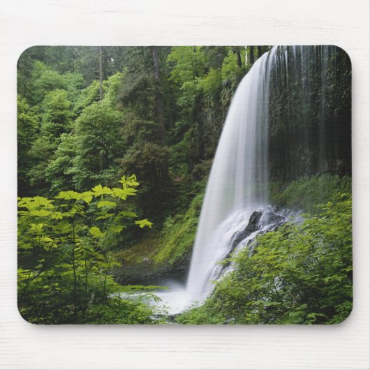 Tapis De Souris Middle North Falls, Silver Falls State Park, (Devant)