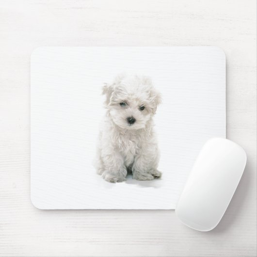 Tapis de souris mignon de Bichon Frise (Avec souris)