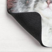 tapis de souris mignon de chaton (Coin)