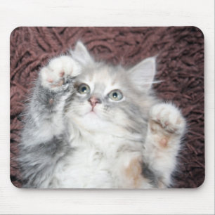 tapis de souris mignon de chaton