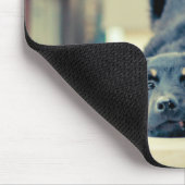 Tapis de souris mignon de chien (Coin)
