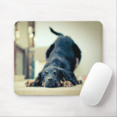 Tapis de souris mignon de chien (Avec souris)