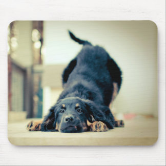 Tapis de souris mignon de chien