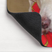Tapis de souris mignon de chien (Coin)