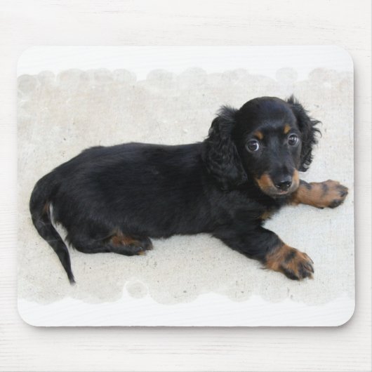 Tapis de souris mignon de Daschund (Devant)