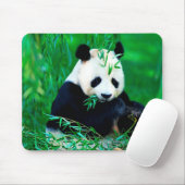 Tapis de souris mignon de panda (Avec souris)