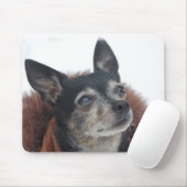 Tapis de souris mignon de photos de chiwawa (Avec souris)
