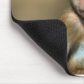 Tapis de souris mignon/Mousepad de babouin de bébé (Coin)
