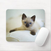 Tapis De Souris mignonne, nature, chat (Avec souris)