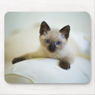 Tapis De Souris mignonne, nature, chat