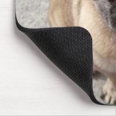 Tapis De Souris Mignons Carlins Chien Chien Cochettant La Langue D (Coin)