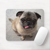 Tapis De Souris Mignons Carlins Chien Chien Cochettant La Langue D (Avec souris)