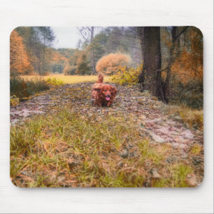 Tapis De Souris Mignons chien de dachshund aux cheveux longs dans