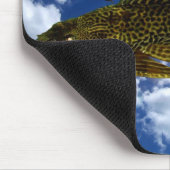 Tapis De Souris Migration #2 de Pleco (Coin)