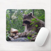 Tapis De Souris Mika le raton laveur (Avec souris)