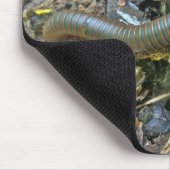 Tapis De Souris Mille-pattes (Narceus américanus) Mousepad (Coin)