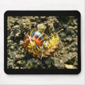 Tapis De Souris Millipede Polydesmida (Sigmoria aberrans) (Devant)