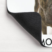 TAPIS DE SOURIS MINGUS PARMI LES USA (Coin)