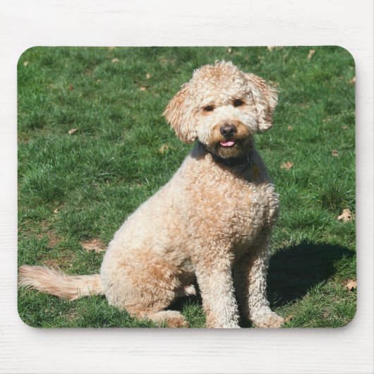 Tapis De Souris Mini mousepad de chiot de Goldendoodle (Devant)