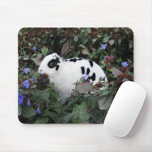 Tapis De Souris Mini mousepad de lapin de Rex (Avec souris)
