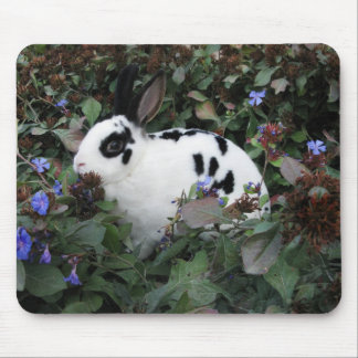 Tapis De Souris Mini mousepad de lapin de Rex