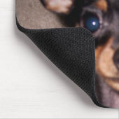 Tapis De Souris mini pinscher. (Coin)