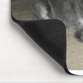Tapis De Souris Mini_Schnauzer pose (Coin)