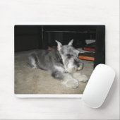 Tapis De Souris Mini_Schnauzer pose (Avec souris)