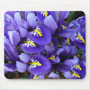 Tapis De Souris Miniature Bleu Irises Printemps Floral