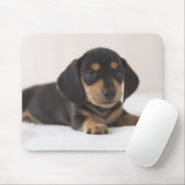 Tapis De Souris Miniature Dachshund (Avec souris)