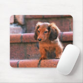 Tapis De Souris Miniature Dachshund (Avec souris)