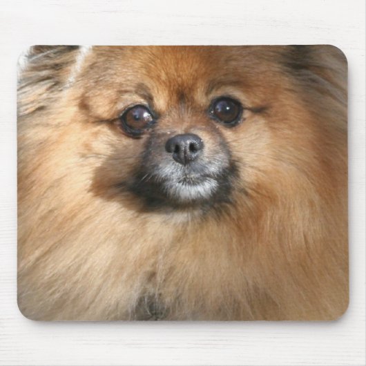 Tapis de souris miniature de Pomeranian (Devant)