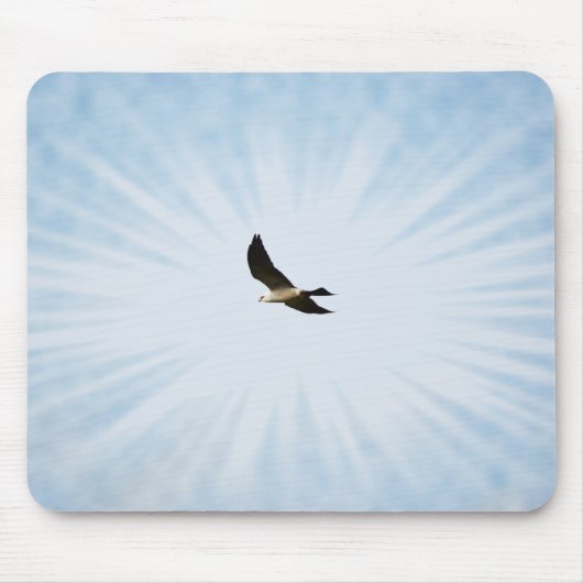 Tapis De Souris Mississippi Kite Hawk Bird Art Pad (Devant)
