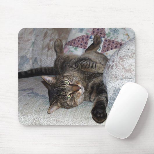Tapis De Souris Mister-2 (Avec souris)