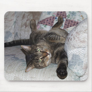 Tapis De Souris Mister-2