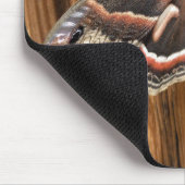 Tapis De Souris Mite de cecropia de Hyalophora (Coin)