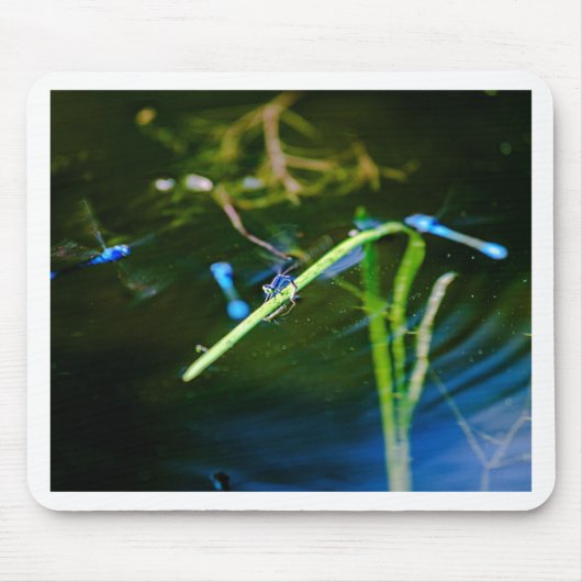 Tapis De Souris MK2A8136_v01 (Devant)