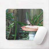 Tapis De Souris Mockingbird à Birdbath (Avec souris)