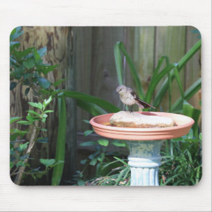 Tapis De Souris Mockingbird à Birdbath