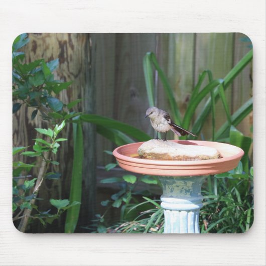 Tapis De Souris Mockingbird à Birdbath (Devant)