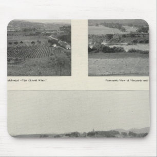 Tapis De Souris Model Vineyards, Californie